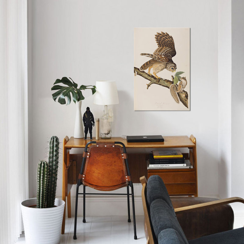 «Barred Owl and Squirrel», impression sur toile, H 12 po x l 8 po x P 0,75 po, Toile tendue, Pas de tapis