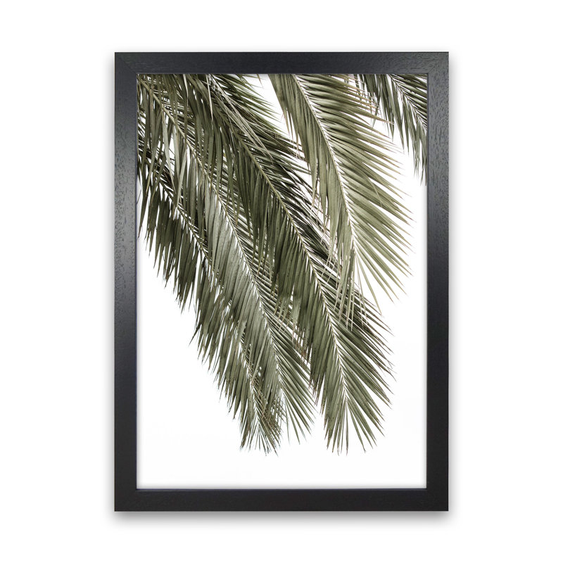 Palms by Victoria Frost - Print, 46cm H x 34cm W x 3cm D, Black Framed