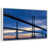 Floating Frame White selected