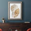 Coquillage I - reproduction d'art sur toile-799207404