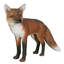 Statue européen fox