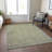 Machine Washable Indoor/Outdoor Cicel ACN1135 Aloe Rug-100210328