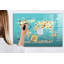 Magnetic Memo Board Whiteboard - 90 x 60 cm - With Marker and Magnets - Map of the animal world