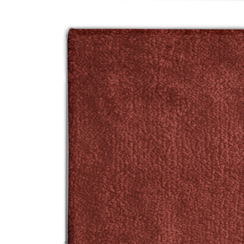 Tapis brun uni d'intérieur et d'extérieur, Rectangulaire 2 pi x 3 pi