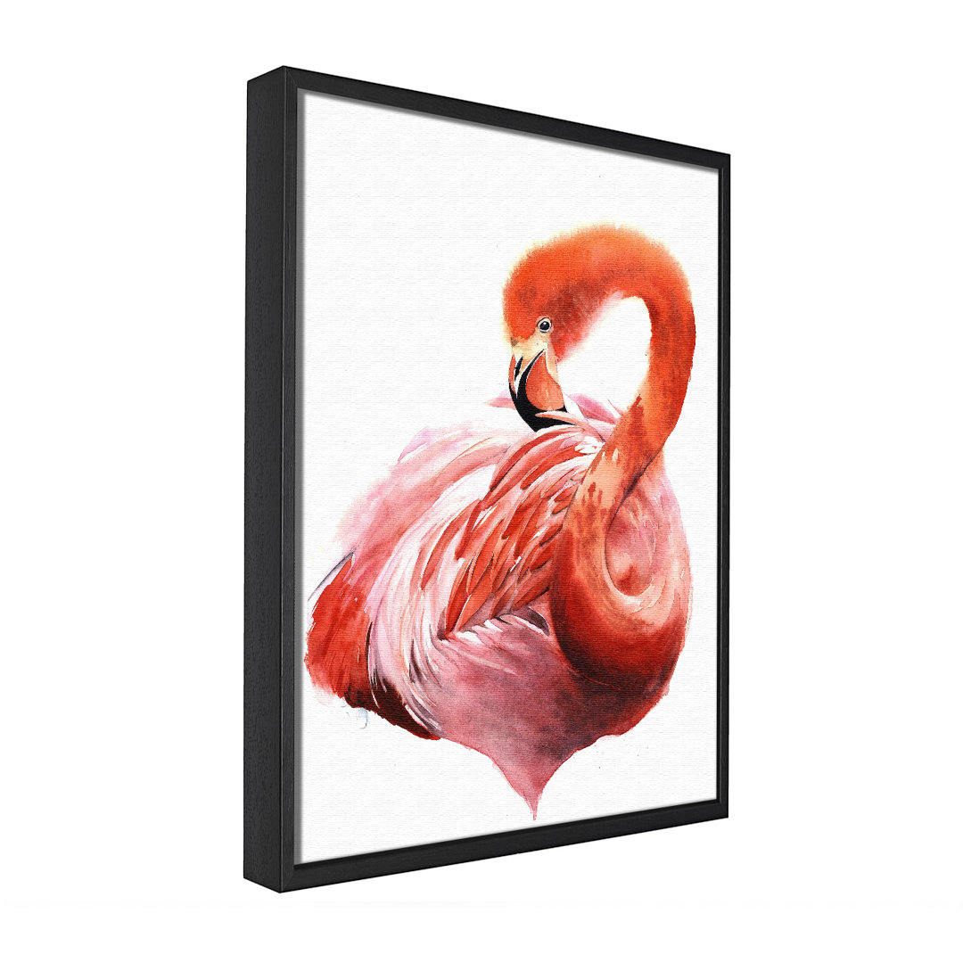 Flamingo Bräutigam - Einzelner Bilderrahmen Grafik auf Leinwand