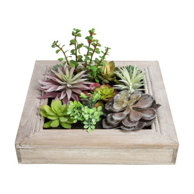 Ensemble de 10 plantes succulentes artificielles dans un vase décoratif 11,8 po