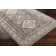 Dickison Washable Oriental Indoor Rug