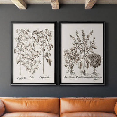«Sepia Besler Botanicals I», ensemble de 2 reproductions d'art sur toile encadrées