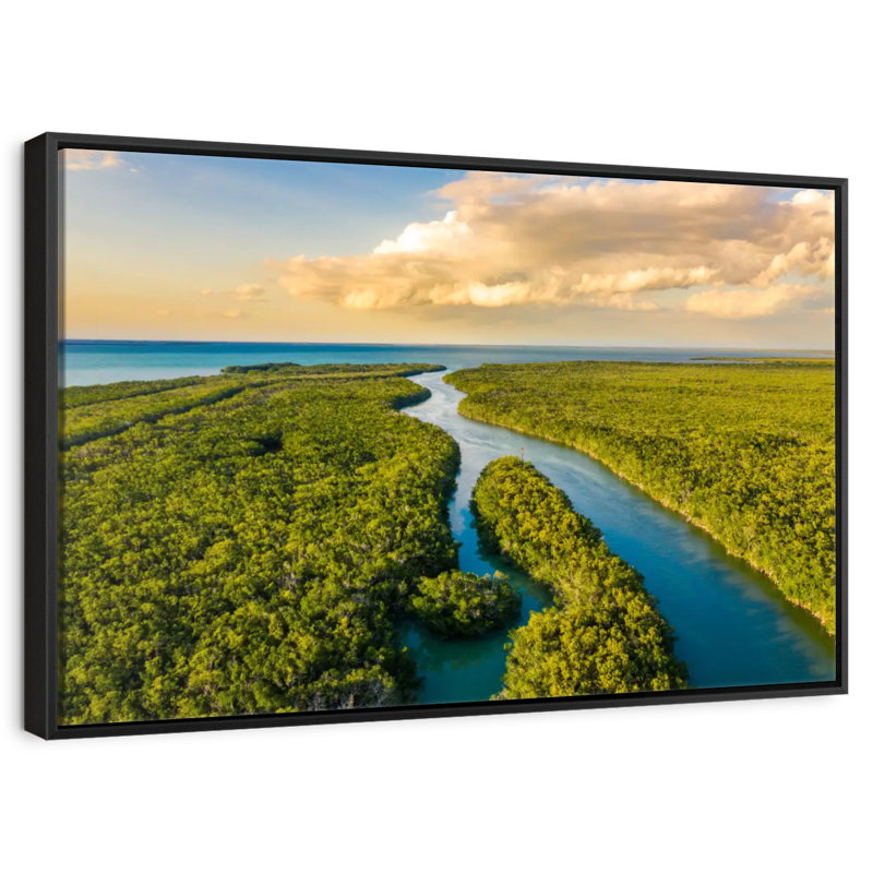 Parc national des Everglades, Cadre flottant noir, 37 po x 25 po