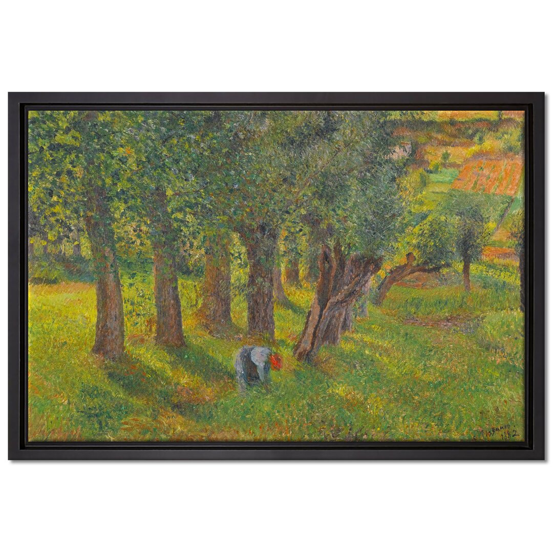 Gerahmtes Leinwandbild Le Chou À Pontoise von Camille Pissarro