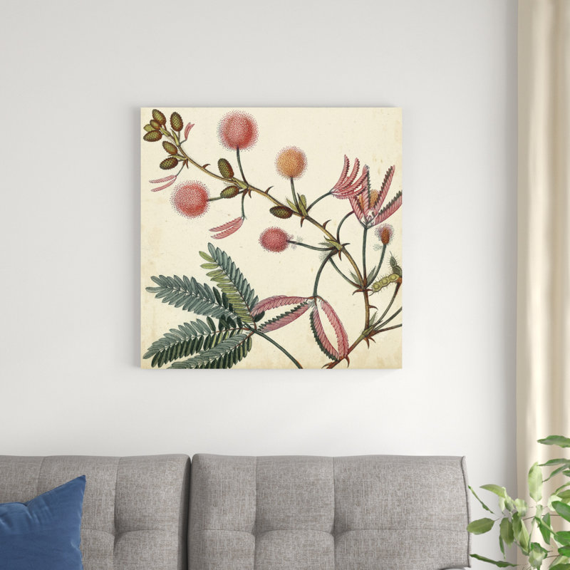 «Garden Bounty IV», peinture sur toile, H 30 po x l 30 po