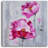 " Pretty In Pink Triptych " 3 - Pieces Painting Print