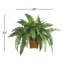 23'' Faux Fern Plant in Wicker/Rattan Pot