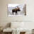 Snowy Moose-107473032