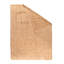 Wool Floral Area Rug in Beige