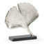 Ginkgo Sculpture-22694792