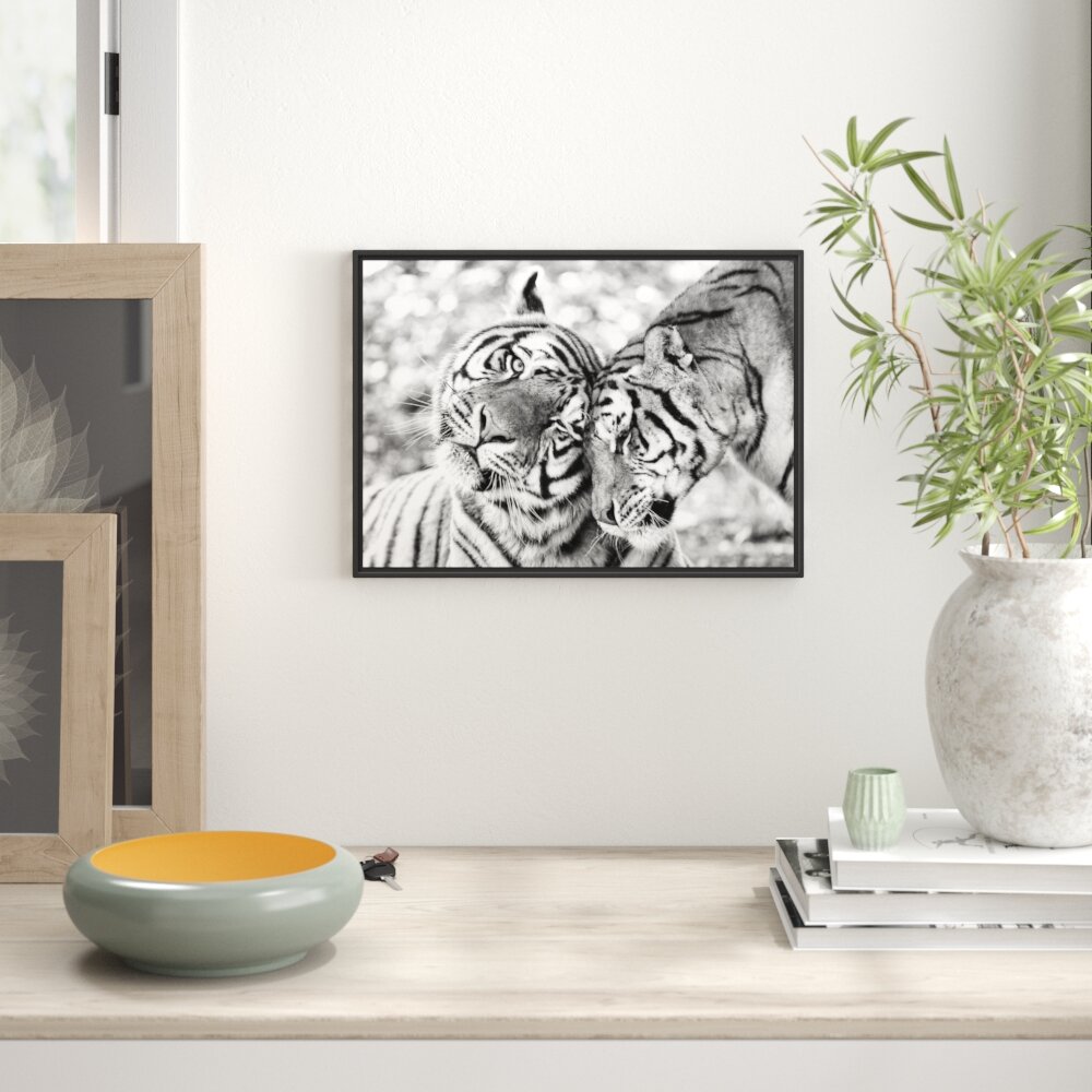 Gerahmtes Wandbild Zwei liebkosende Tiger Kunst B&W