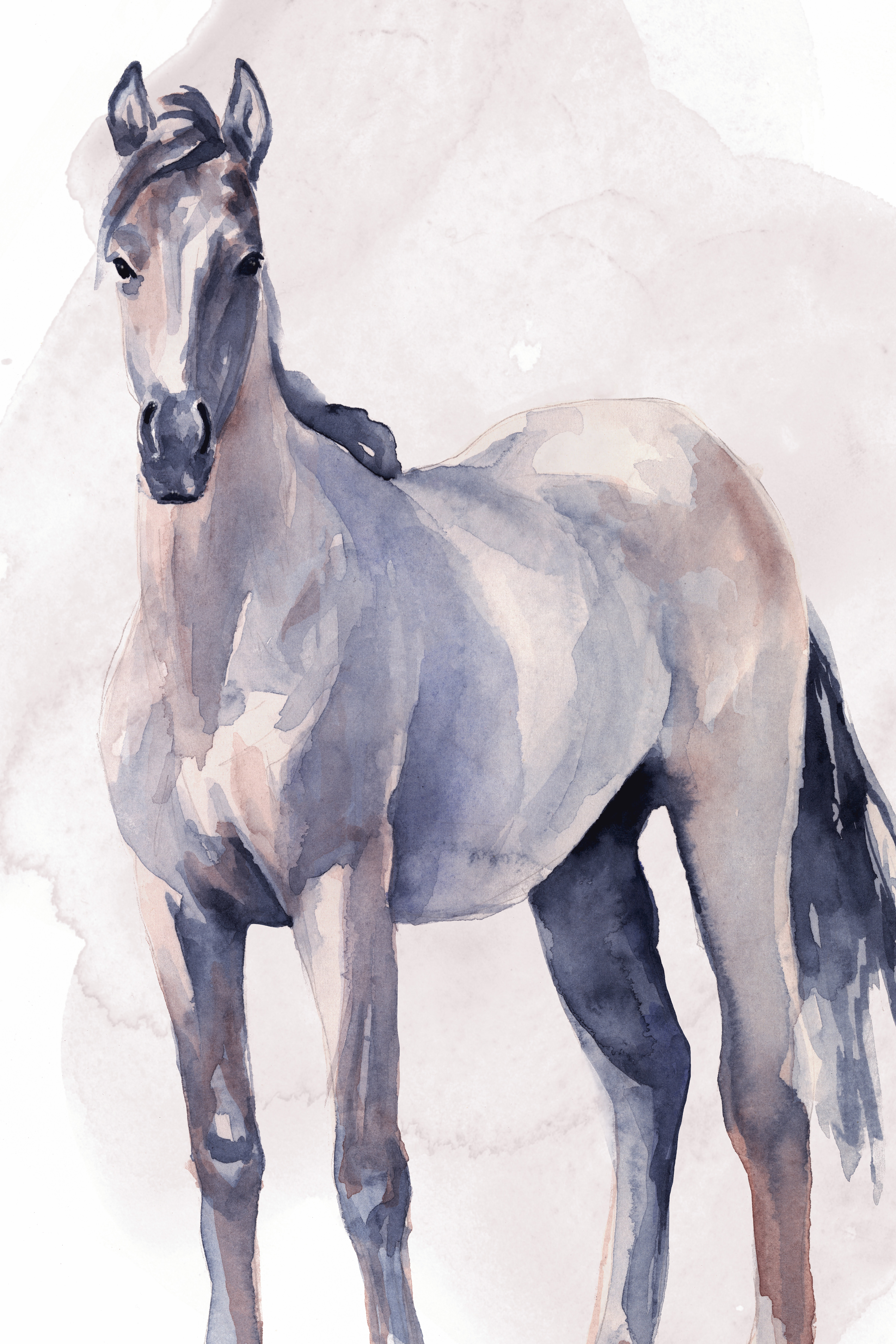 Dapple Horse In Water Paint By Numbers - Paint By Numbers