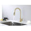 Robinet de cuisine avec douchette extractible