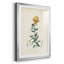 Traditional Botanical III - reproduction de cadre photo-1822273053-1822273042