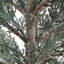 SEASONAL GREENERY TREE CEDAR FLOCKED POT 3FT