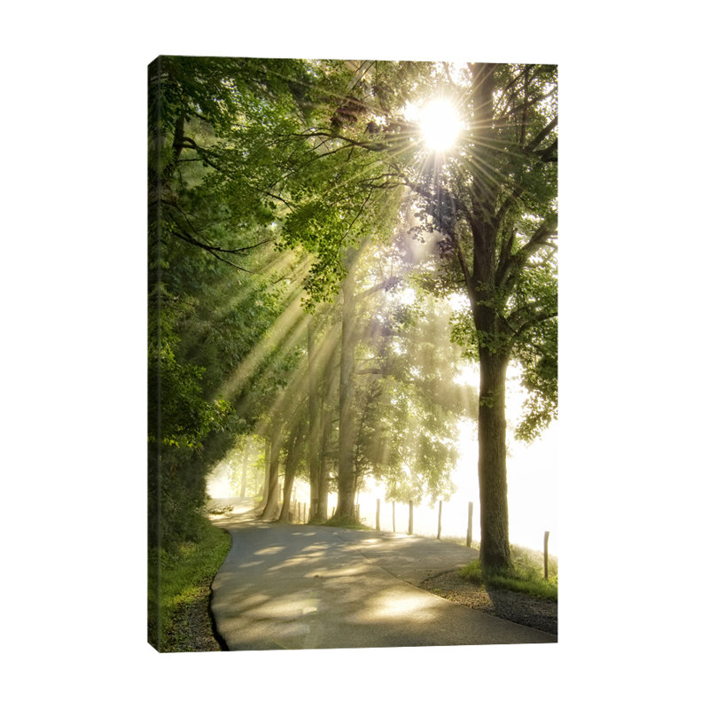 Dano - Wrapped Canvas Print, 46 cm H x 30 cm W x 3 cm D