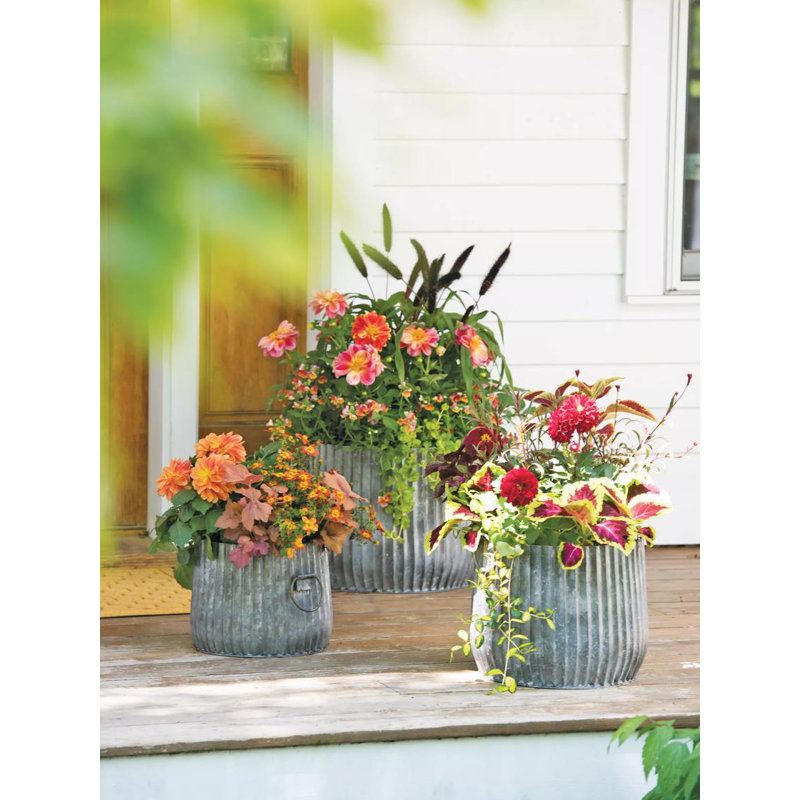 14" Galvanized Steel Ribbed Planter with Metal Handles