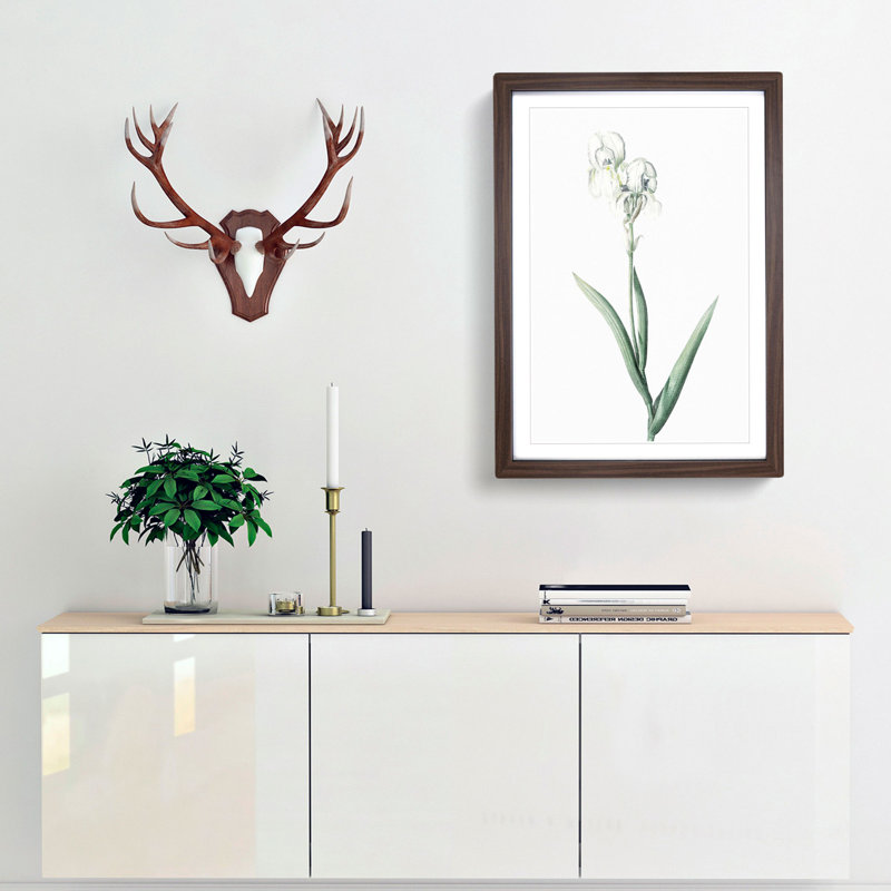 Tall-Bearded Iris by Pierre-Joseph Redoute - Picture Frame Art Print, Walnut Framed, 48cm H x 36cm W x 2cm D