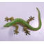Grande statue de gecko lézard grandeur nature