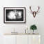 Highland Cow - Picture Frame Graphic Art Print-56863424-56863423
