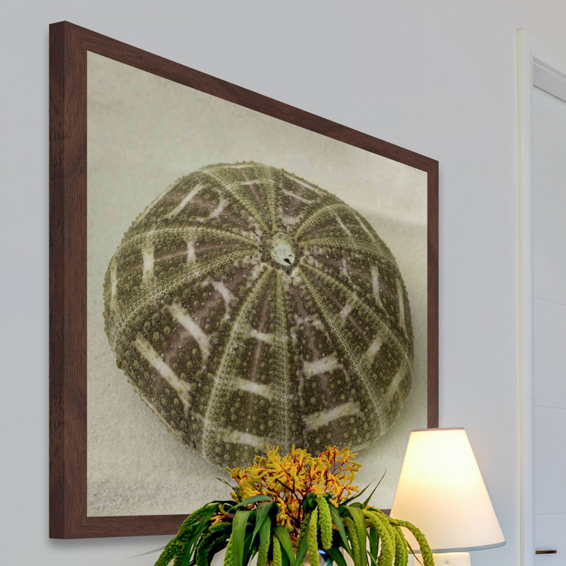 Judy Stalus - Single Picture Frame Print, 51cm H x 51cm W x 3.81cm D