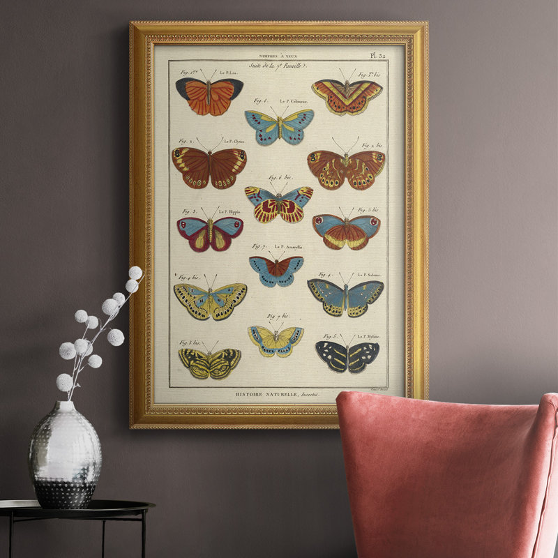 Histoire Naturelle, impression de papillons, L 18 po x H 27 po