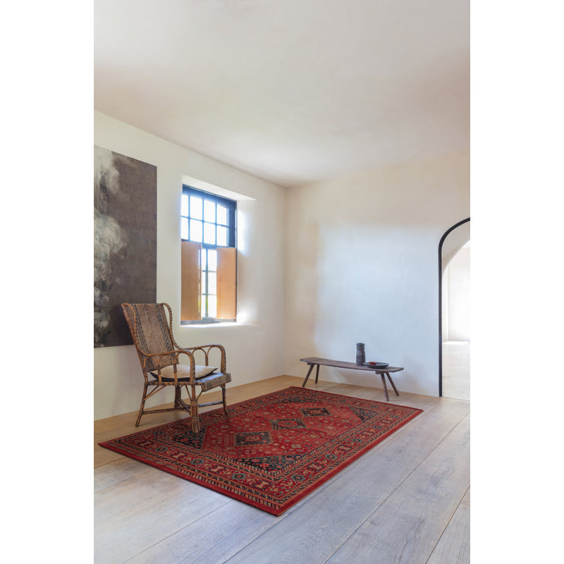 Abbeville Oriental Wool Area Rug, Rectangle 240 x 340cm