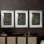 Tableau botanique rétro I - impression encadrée sur mesure de qualité supérieure - 3 pièces-497843001-497843002
