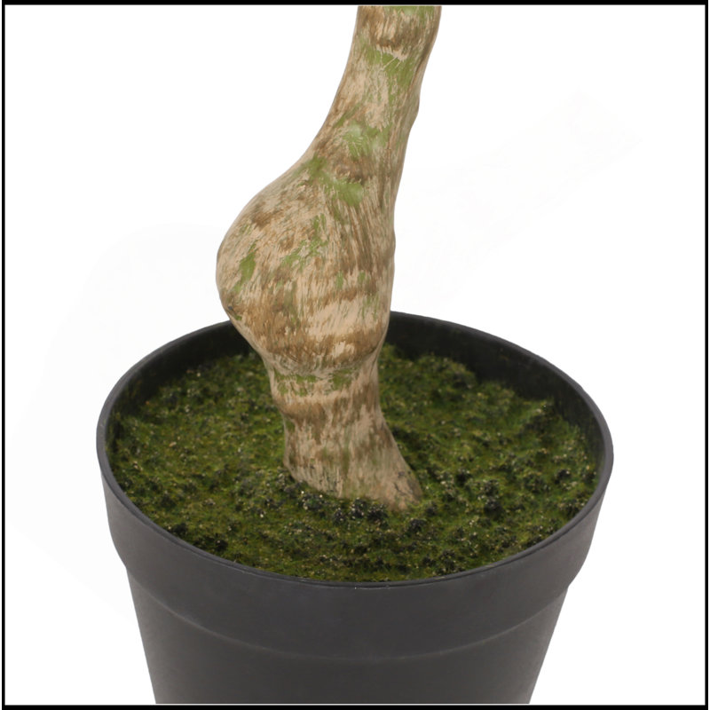 120CHA PACHIRA Macrocarpa artificiel, H 47,2 po x l 23,6 po x P 19,7 po
