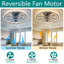 Ventilateur de plafond en cage avec éclairage, ventilateur de plafond encastré industriel avec télécommande, ventilateur de plafond à DEL noir mat avec 6 vitesses et éclairage 3 couleurs pour la chambre à coucher, la cuisine et le salon