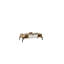 Table basse avec rangement Flara-1380194069