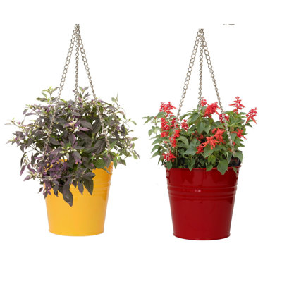 Arnkell Metal Hanging Planter