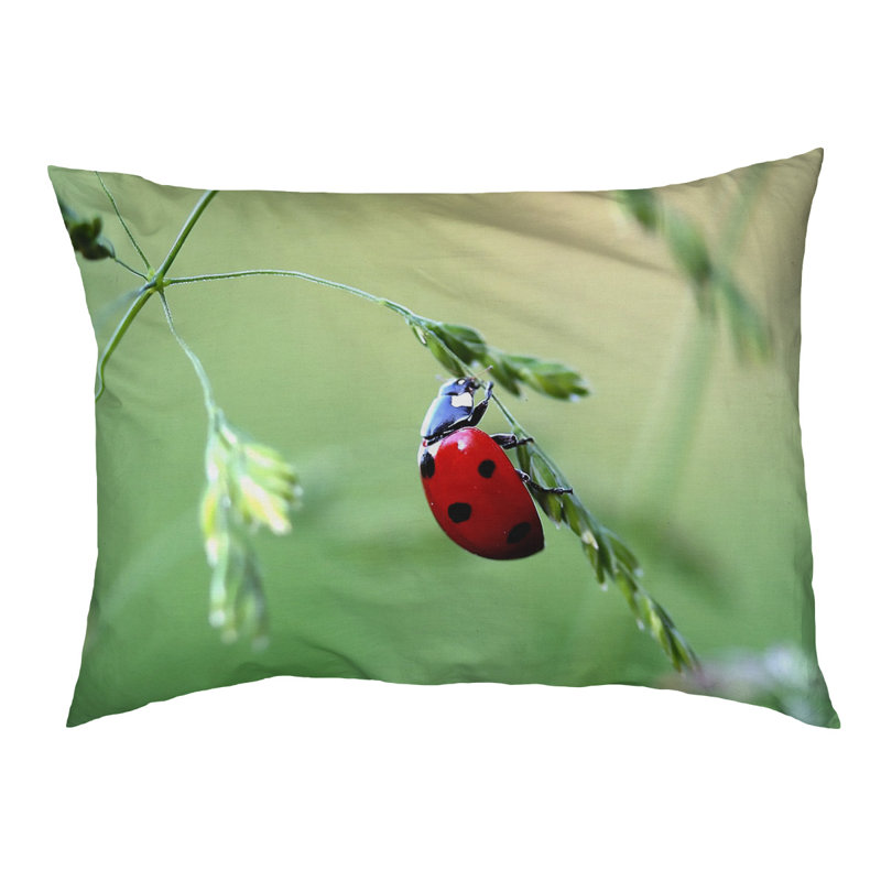 Coussin stylisé coccinelle Burnes, L 42 po x l 52 po, Noir