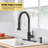 RENIST Yorba Pull Down Kitchen Faucet-56725290