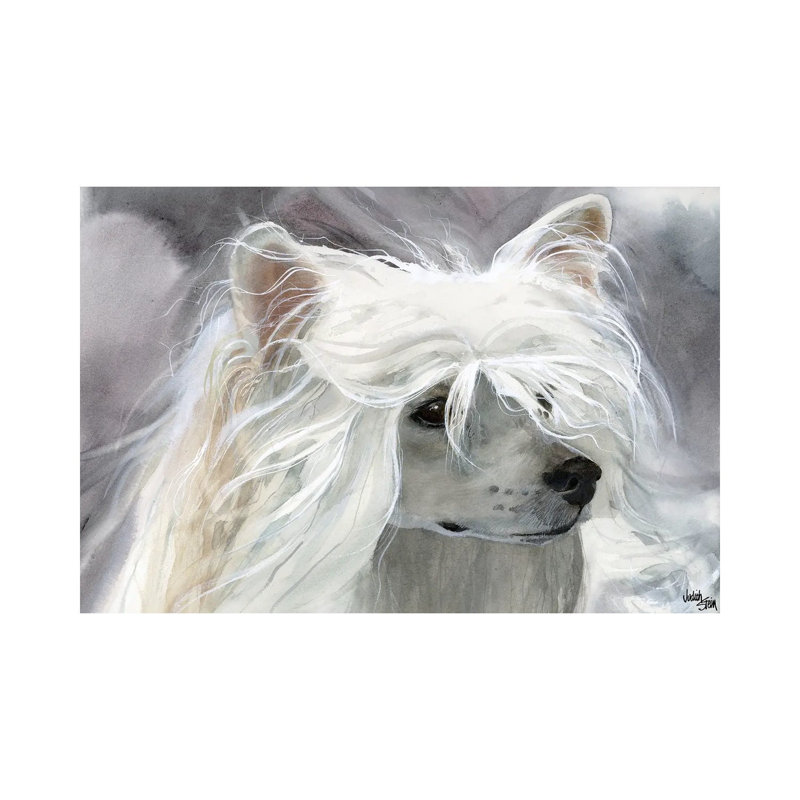 Powder Puff Girl - Powder Puff Chinese Crested by Judith Stein - Wrapped Canvas Painting, 20.32cm H x 30.48cm W