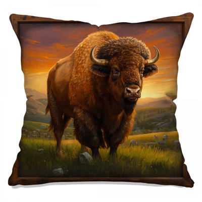 Coussins Bison In Grassland