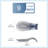 Bone China Spoon Rest-88598045