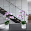 Arrangement in Vase