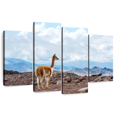 Vicuna