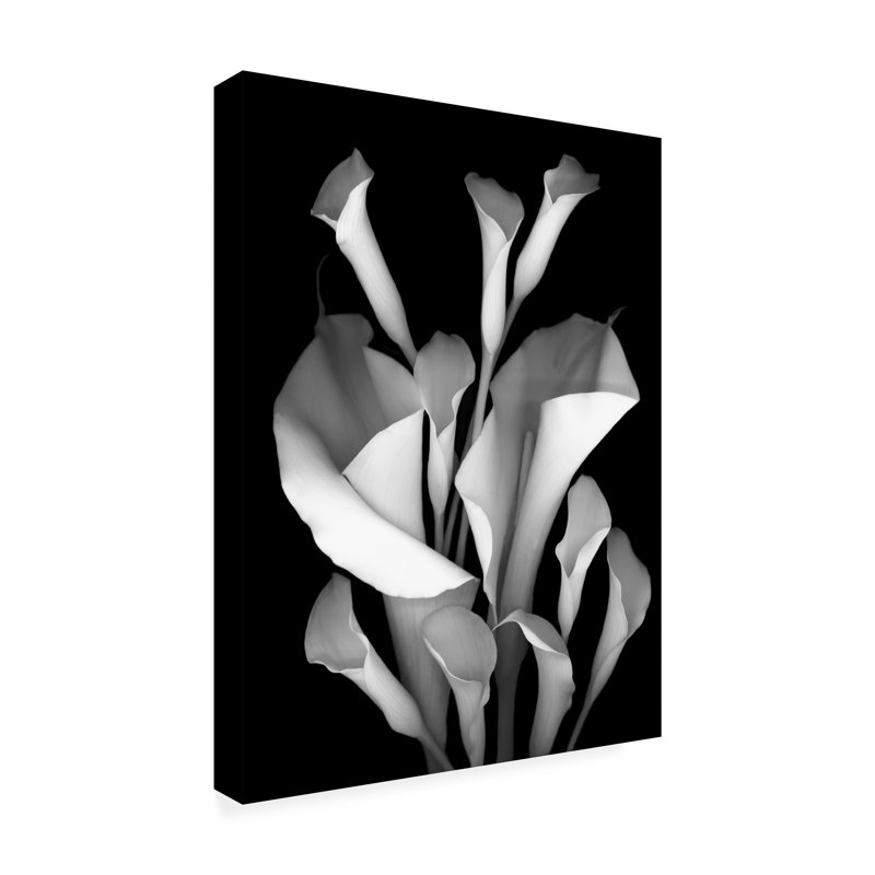 Art mural sur toile tendue - Susan S. Barmon «White Calla 2 Black and White», décoration murale pour le salon, la chambre à coucher ou le bureau - 14 x 19