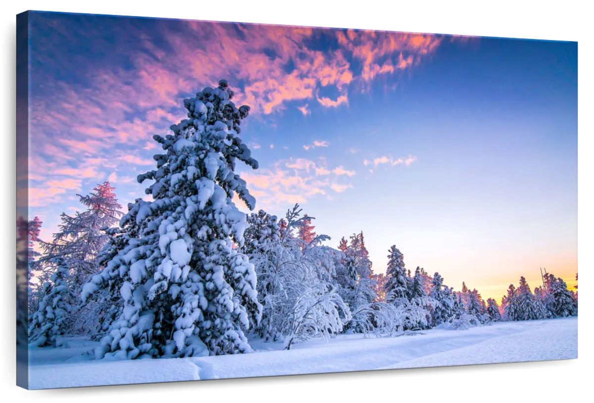 Millwood Pines Alvord Pink Sunset At Winter | Wayfair