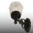Cyrus 1-Light Outdoor Armed Sconce