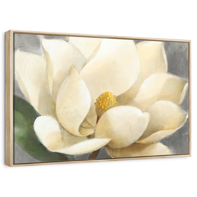 Fleur de magnolia sur fond gris