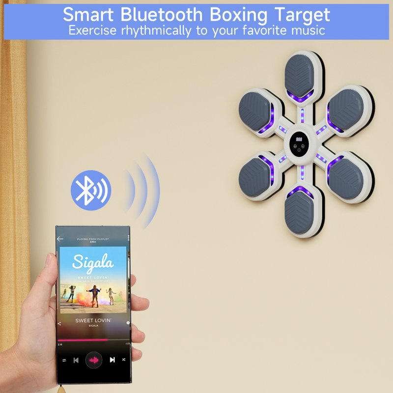 Wall Mount Music Boxing Target Machine